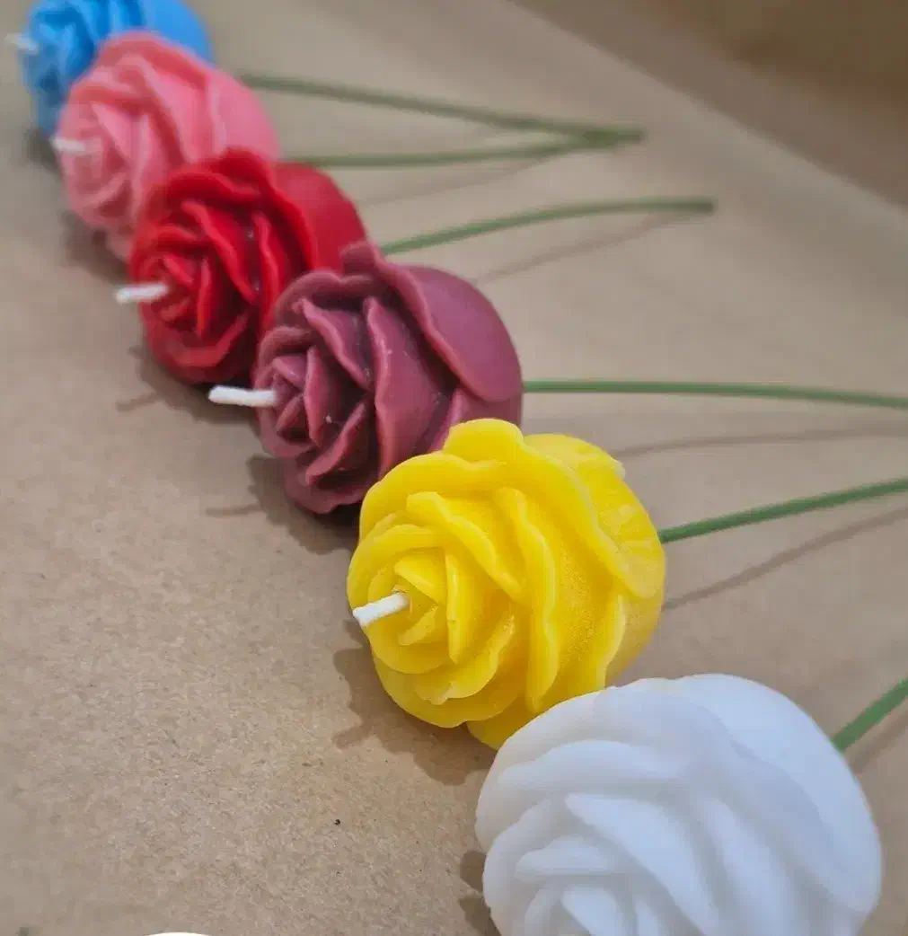 گیفت گل رز|صنایع دستی و سایر لوازم تزئینی|نیریز, |دیوار