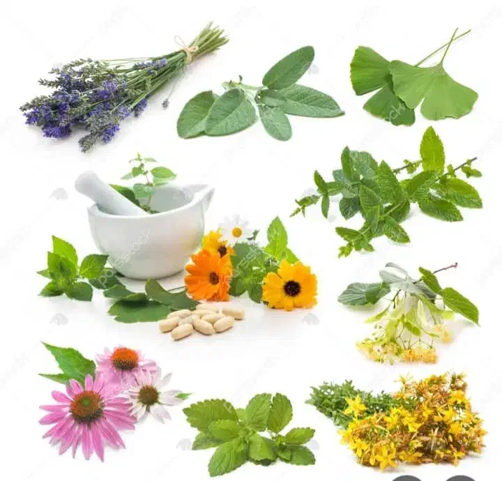 استخدام ،آموزش و درمان از طریق طب سنتی|استخدام آموزشی|بندرعباس, |دیوار