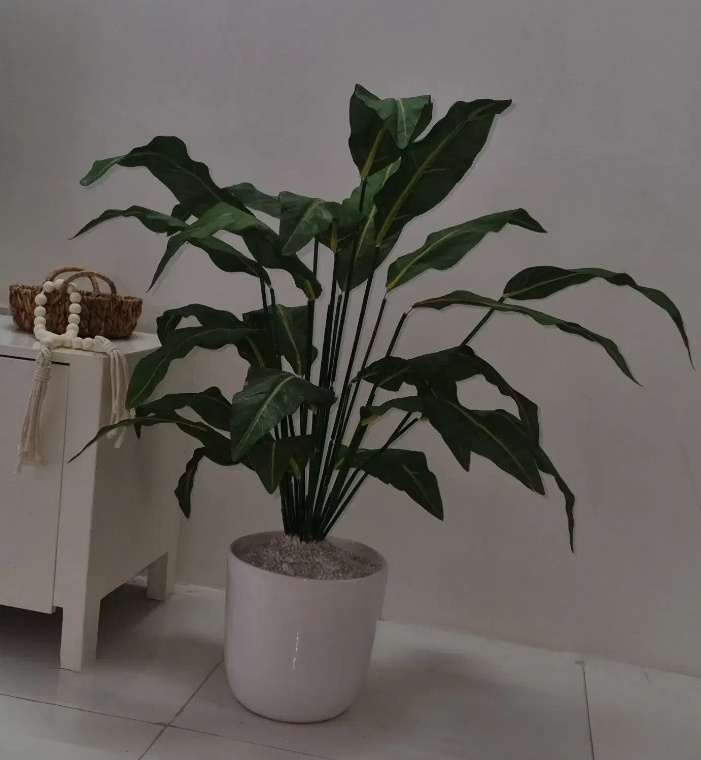 گل برگ عبایی مصنوعی|گل مصنوعی|مشهد, شیرودی|دیوار