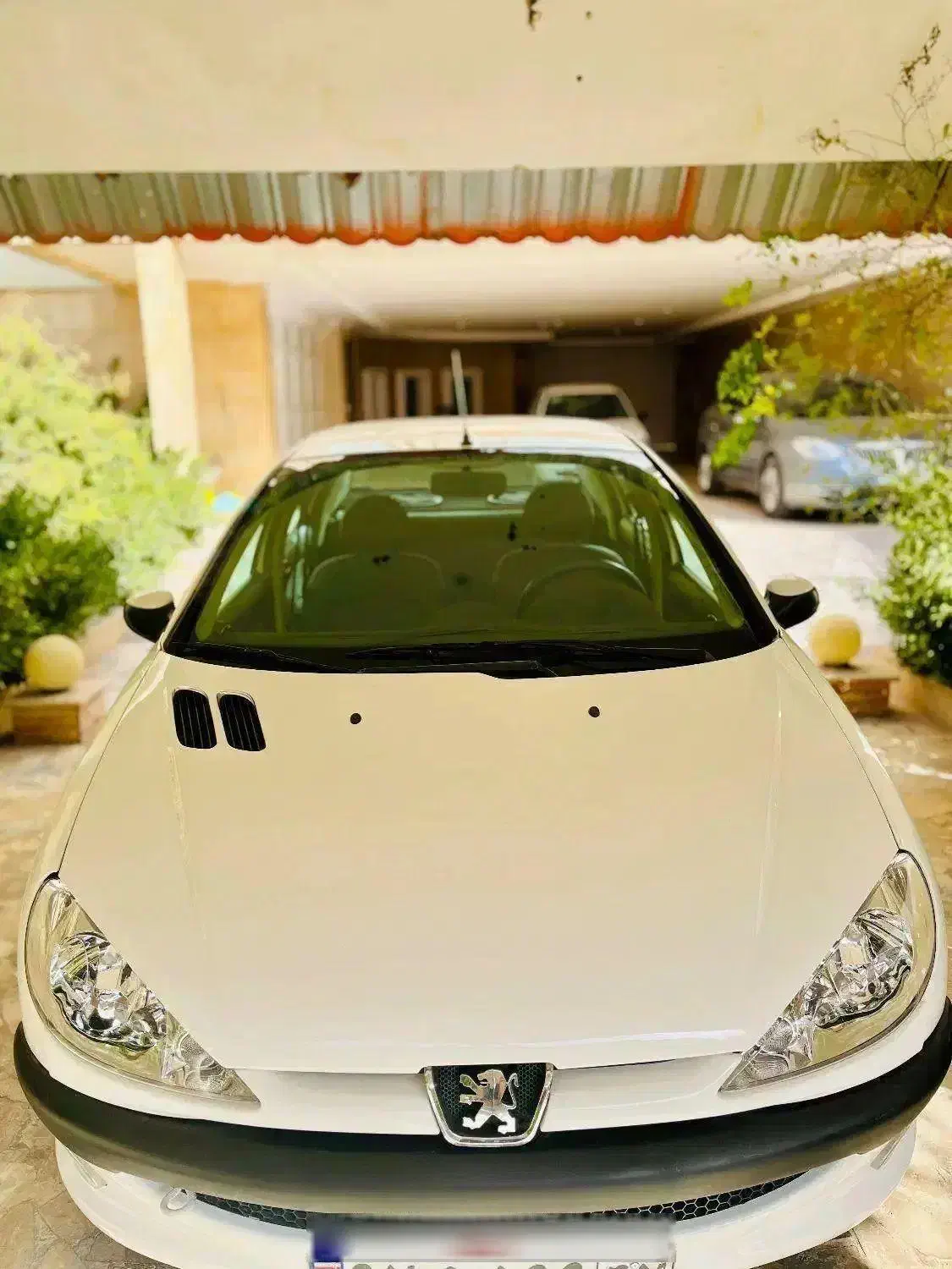 206 SD V20 مدل 1390|خودرو سواری و وانت|تربت‌حیدریه, مظفریه|دیوار