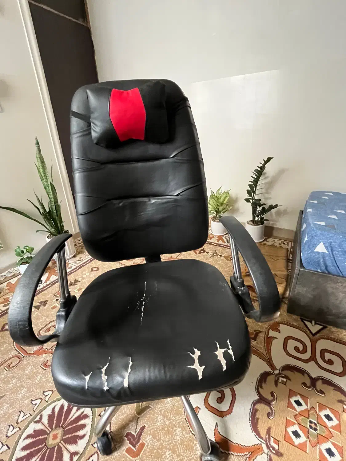 صندلی چرخدار سالم|صندلی و نیمکت|خورموج, |دیوار