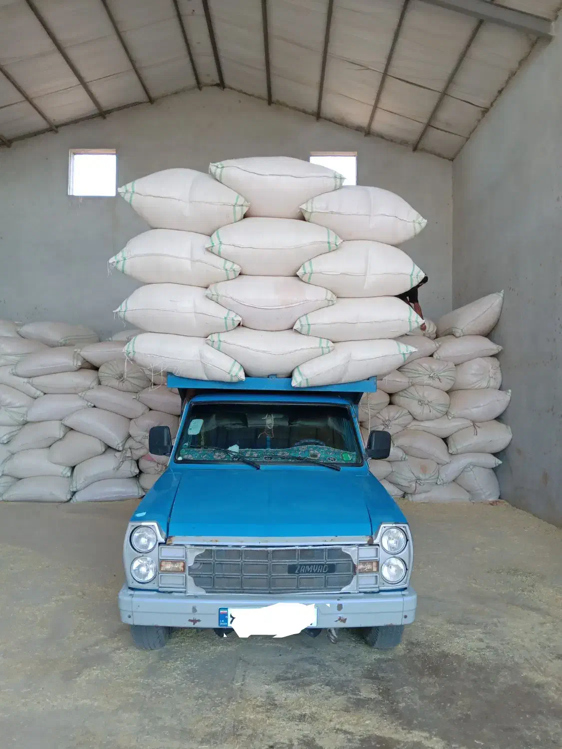 گاه گندم دیم|عمده‌فروشی|چهارباغ, |دیوار