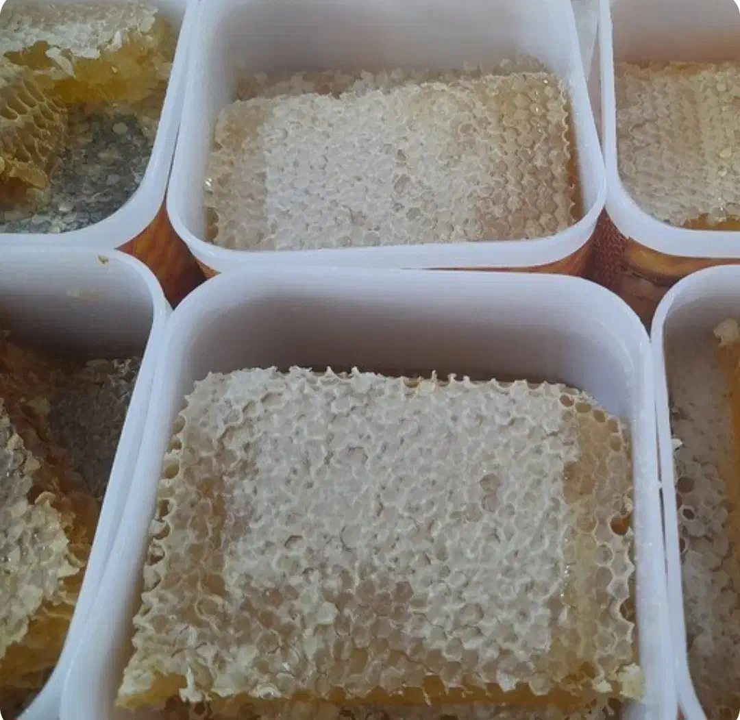 عسل تازه خلخال(برداشت پائیز ۱۴۰۴)|خوردنی و آشامیدنی|رشت, باهنر|دیوار