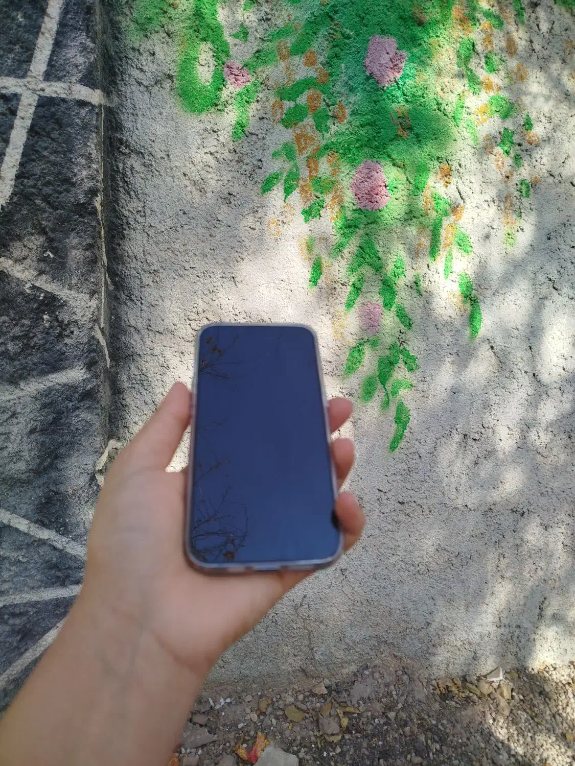 آیفون 13پرو 2سیم|موبایل|فسا, |دیوار