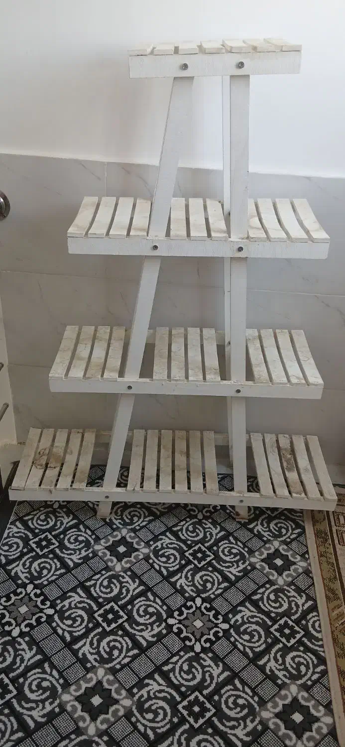 پای گل چنتای|گل و گیاه طبیعی|دورود, |دیوار