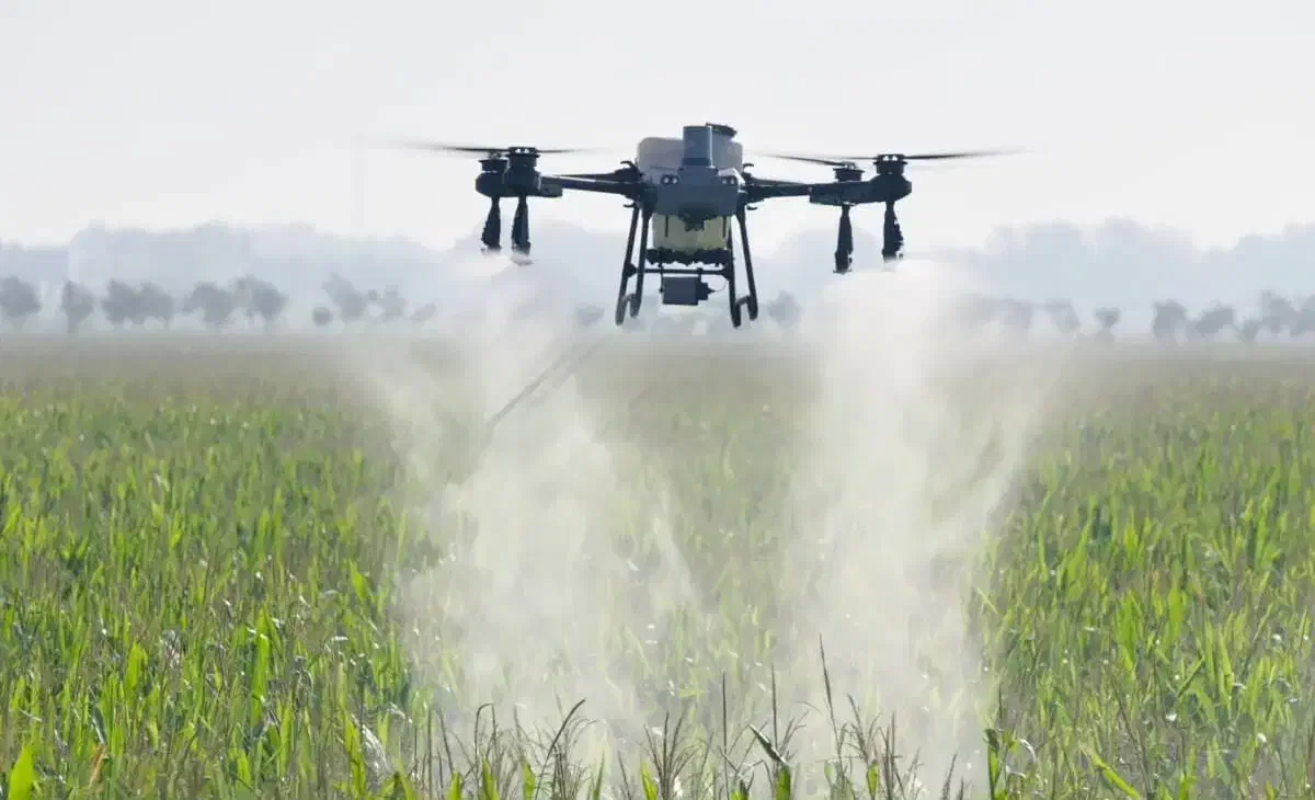 سم پاشی با پهپاد در جیرفت و حومه|خدمات باغبانی و درختکاری|کرمان, |دیوار