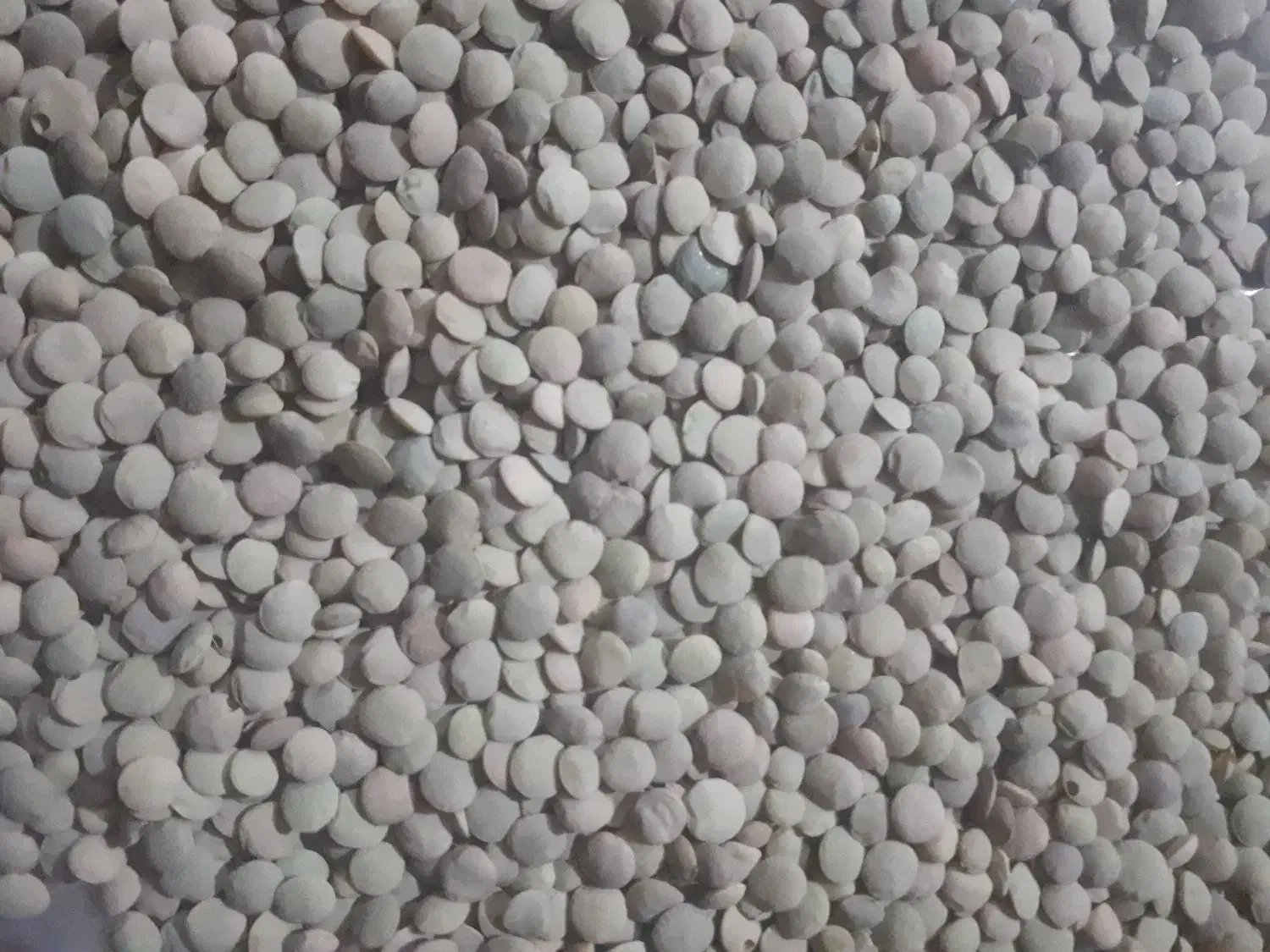 عدس ونخود|خوردنی و آشامیدنی|شیرینسو, |دیوار