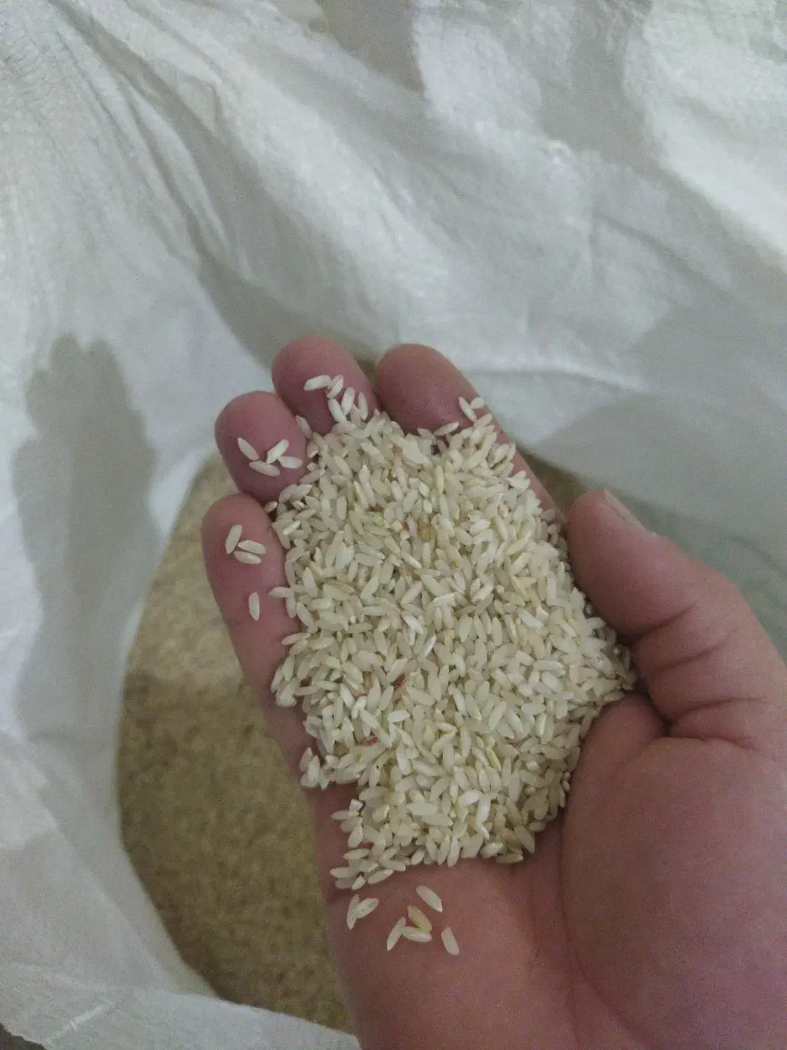 برنج عنبربو سیروان لرینی کیلو 300|خوردنی و آشامیدنی|کارزان, |دیوار