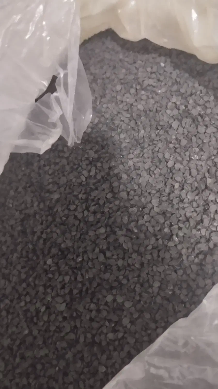 بذر (تخم)پیاز|گل و گیاه طبیعی|برازجان, |دیوار