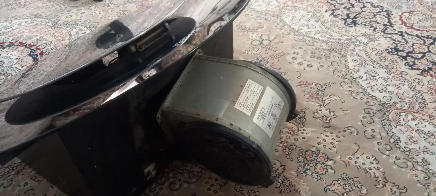 هود|هود|مشهد, پنجتن|دیوار