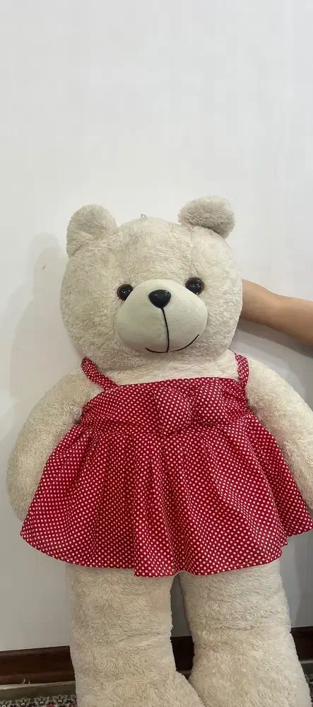 عروسک خرس|اسباب‌‌بازی|چناران, |دیوار