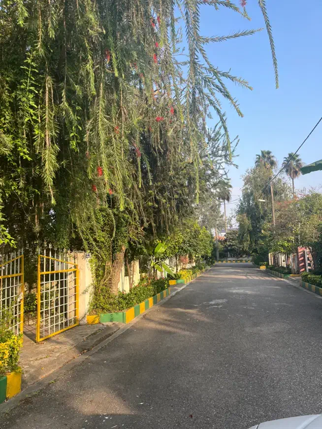 فروش زمین در شهرک با اصالت چسبیده ب نمک آبرود|فروش زمین و ملک کلنگی|هچیرود, |دیوار