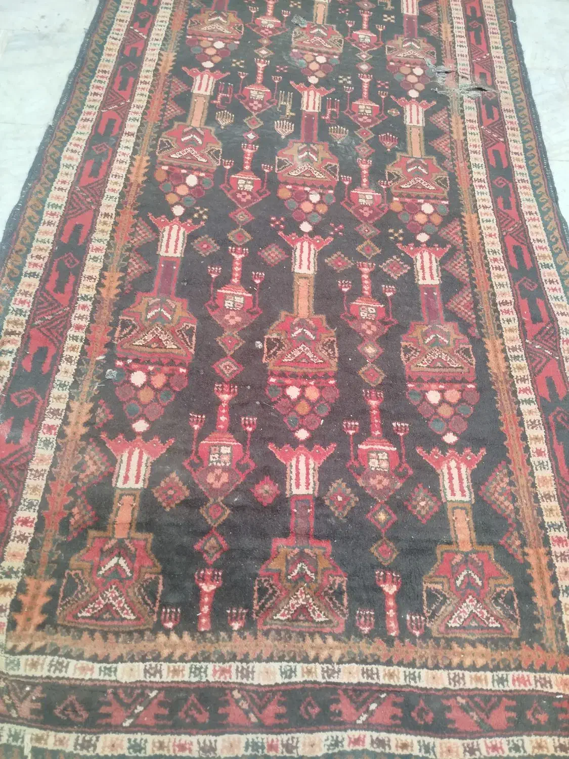 تعدادی وسایل هست|فرش|زاهدان, |دیوار