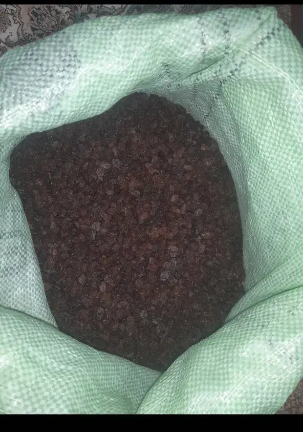 کشمش شیره دار ضایعات|خوردنی و آشامیدنی|مشگین شهر, |دیوار