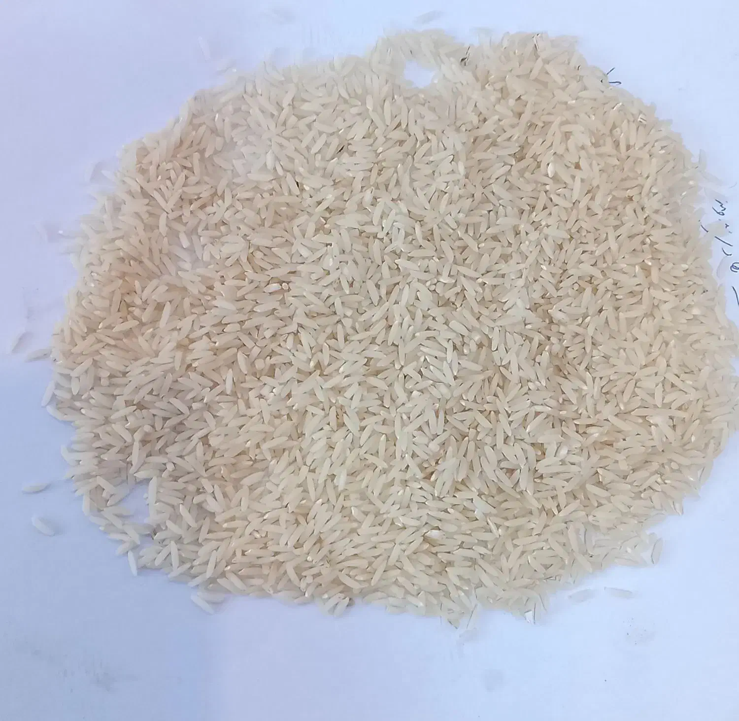 برنج هاشمی خالص|خوردنی و آشامیدنی|رشت, فلسطین|دیوار