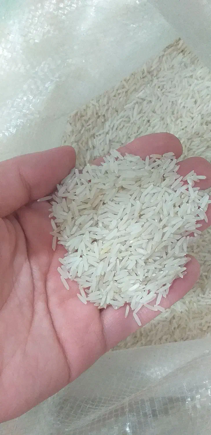 برنج پاکستانی|خوردنی و آشامیدنی|اصفهان, قائمیه|دیوار