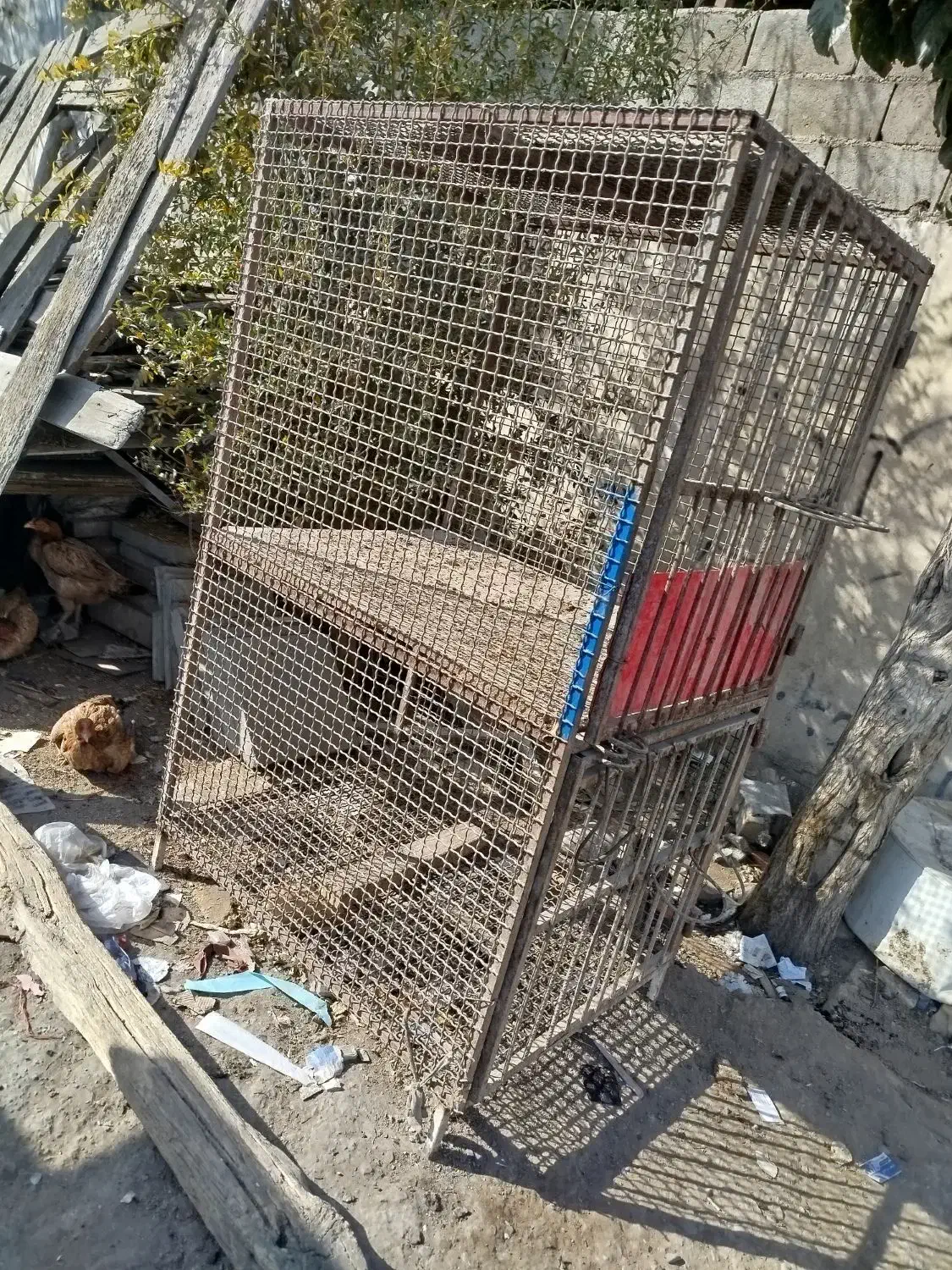 قفس دو طبقه کاملا فلزی سالم|لوازم جانبی حیوانات|قرچک, میرزائی جنوبی|دیوار