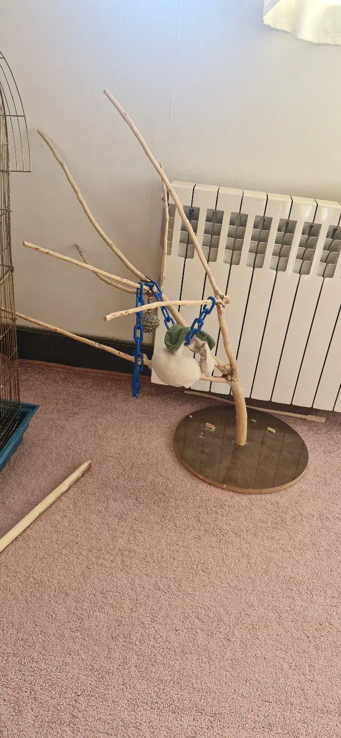 قفس پرنده بزرگ با درخچه و لانه|لوازم جانبی حیوانات|قم, شهرک قدس|دیوار