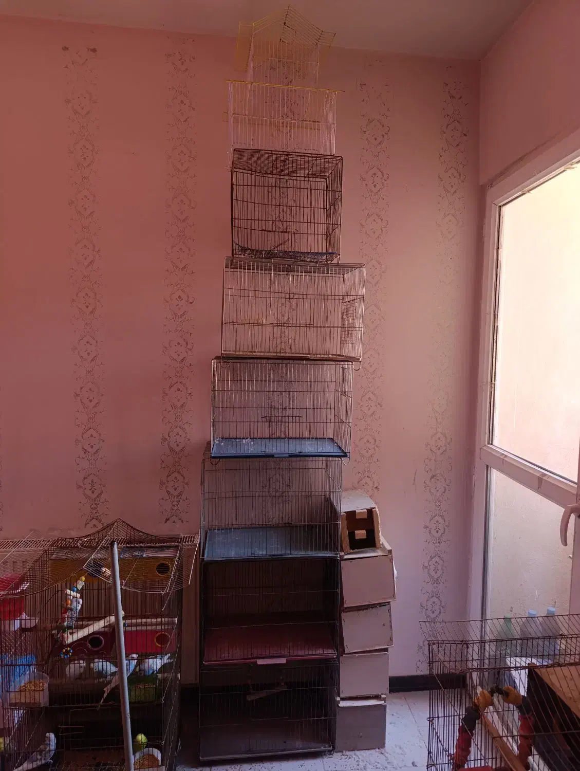 قفس پرنده کوچیک و متوسط|لوازم جانبی حیوانات|سهند, |دیوار