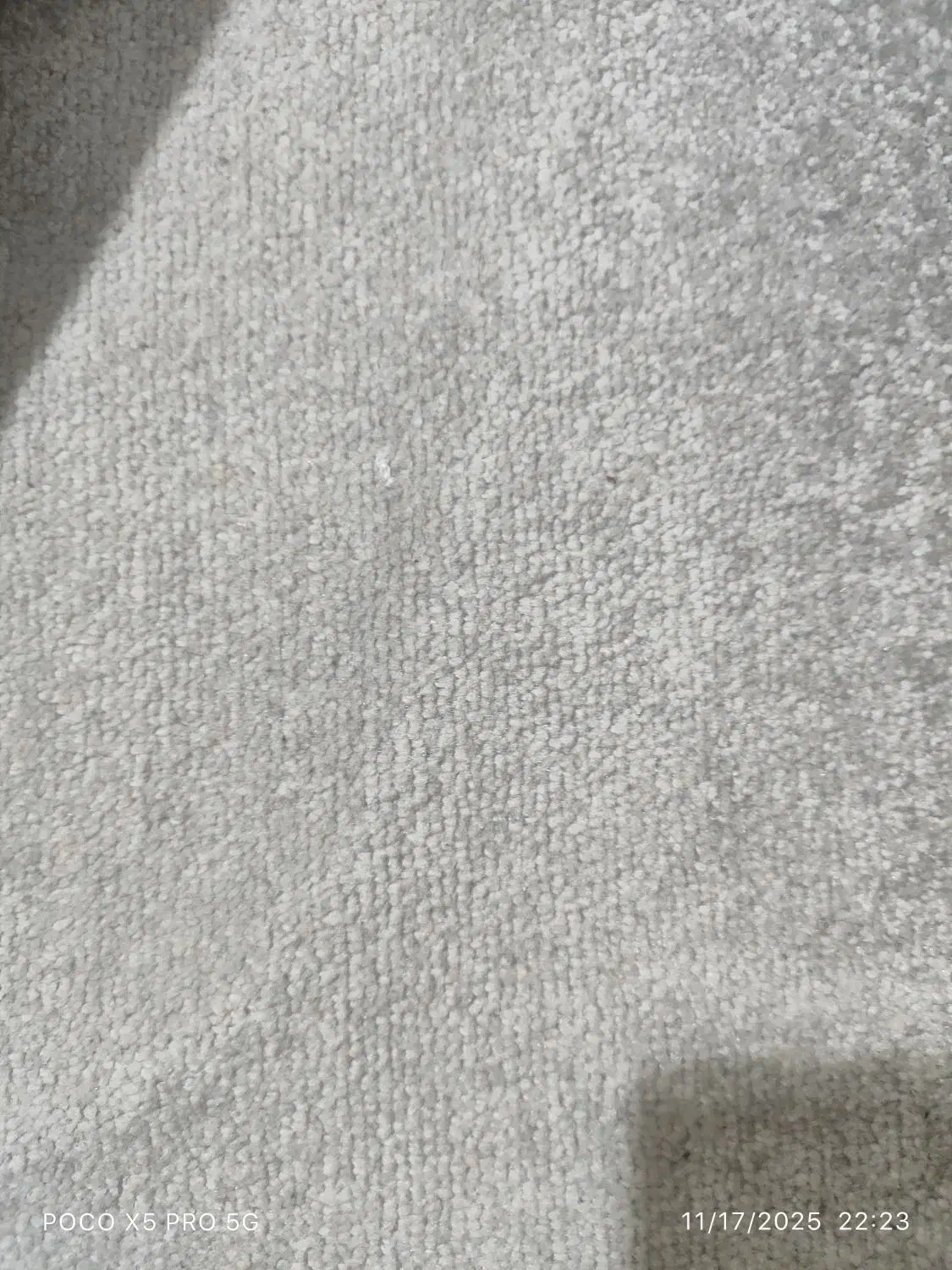 پالاز موکت در حدنو|موکت|تهران, فاطمی|دیوار