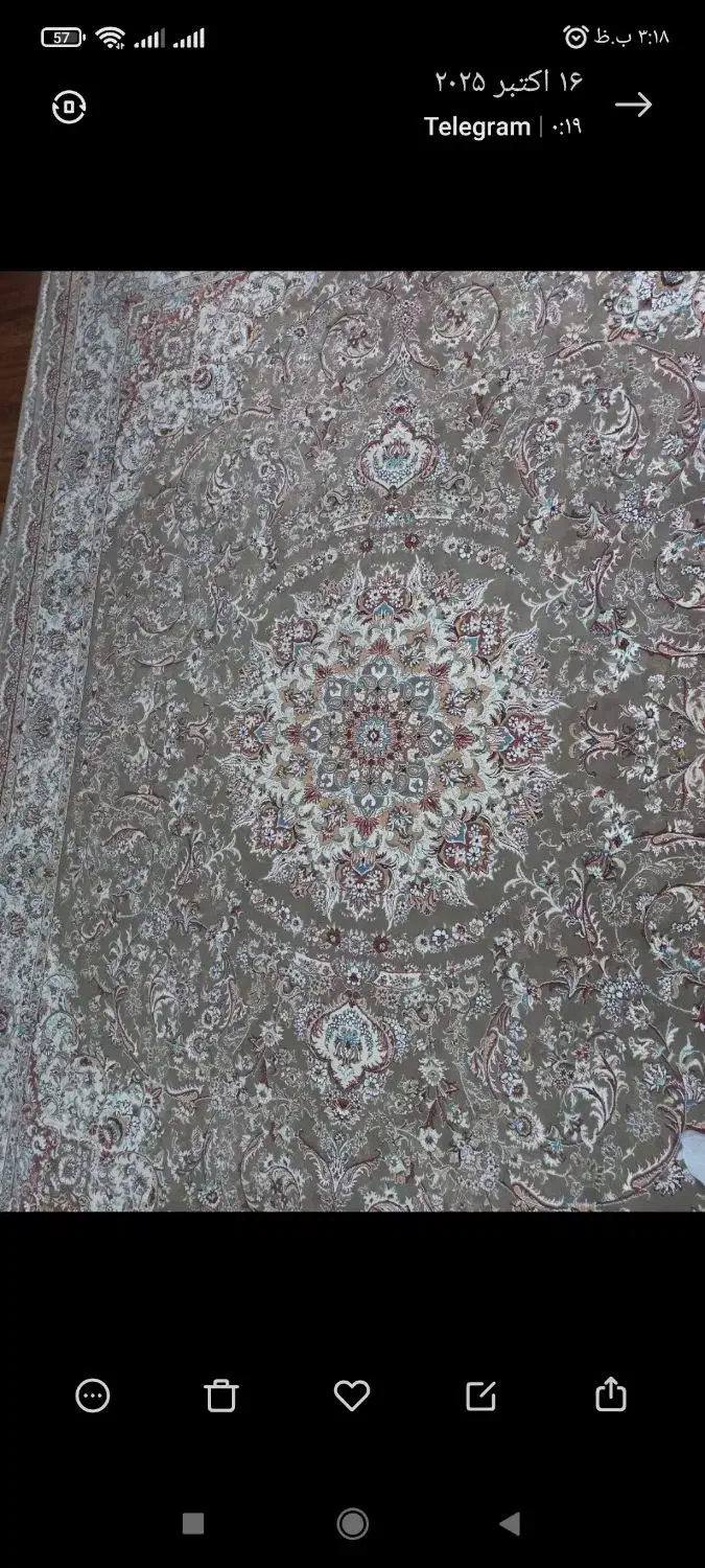 فرش 12متری|فرش|گرمسار, |دیوار