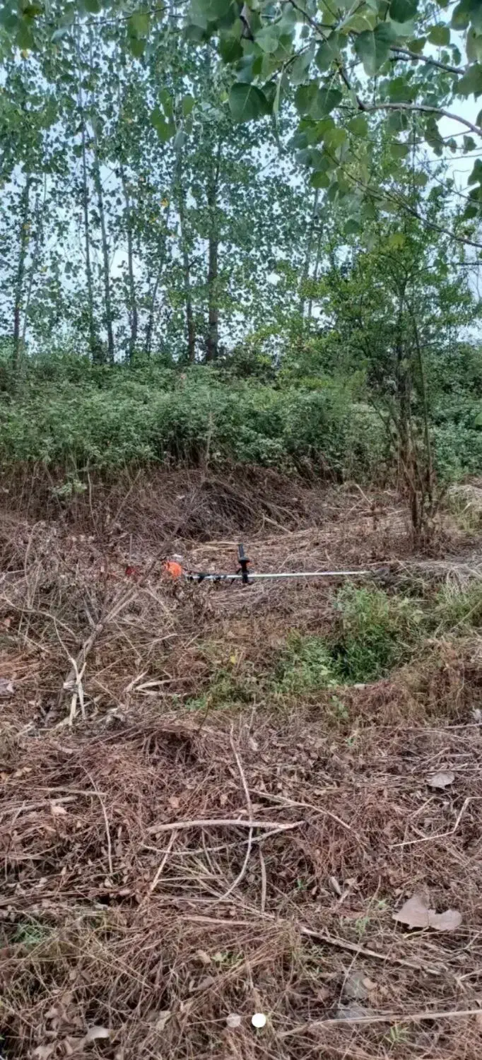 علفتراشی|خدمات باغبانی و درختکاری|لاهیجان, بازکیاگوراب|دیوار