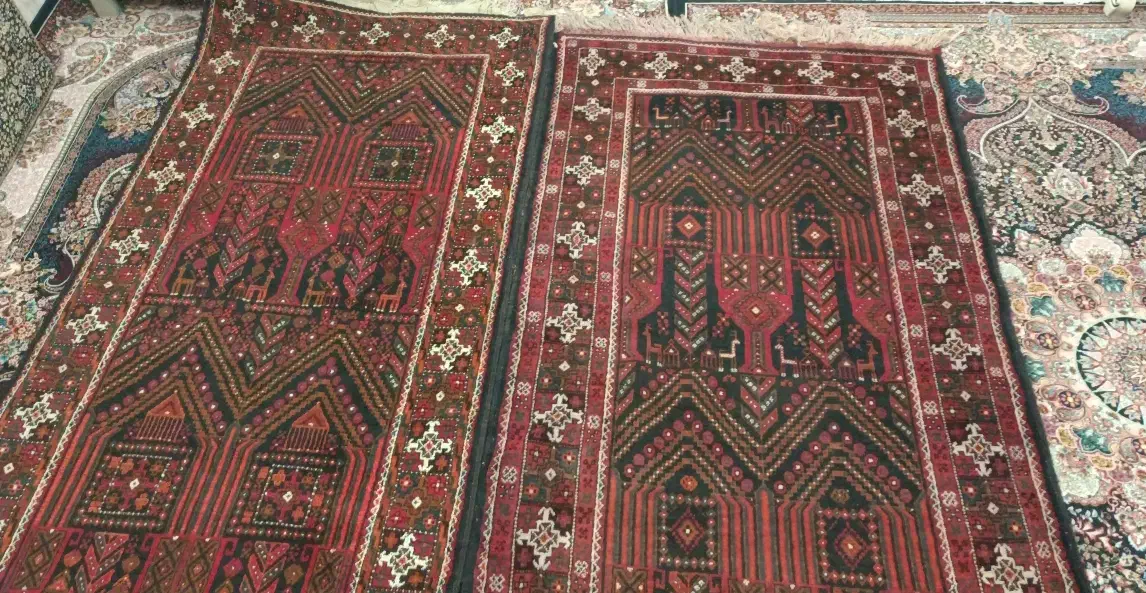 فرش دستبافت|فرش|زابل, |دیوار