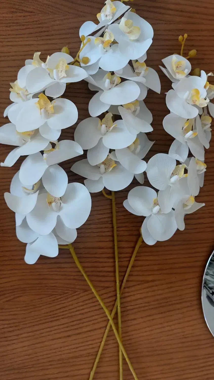 ارکیده لمسی|گل مصنوعی|مشهد, نیروی هوایی|دیوار