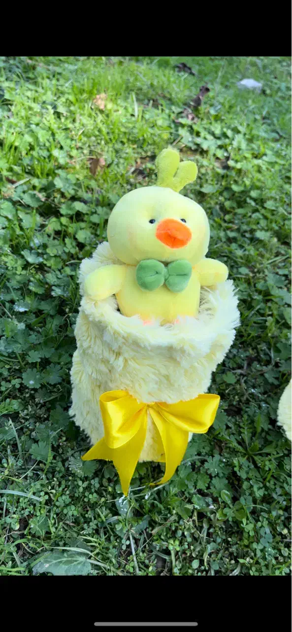 هدیه باکس دختر تولد دخترانه بوکت عروسک پاتریک|اسباببازی|گنبد کاووس, |دیوار