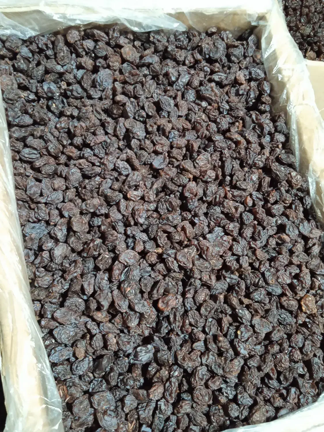 کشمش بیدانه آفتاب خشک|عمدهفروشی|اقبالیه, |دیوار