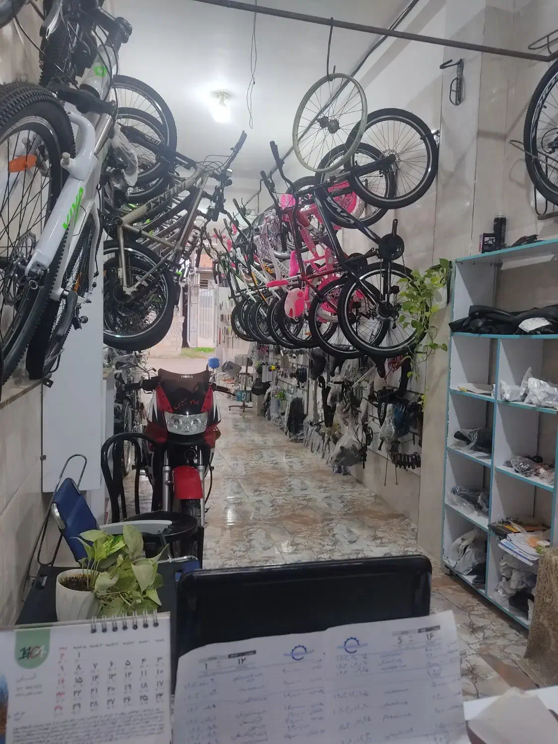 دوچرخه فروشگاه عزیززاده|دوچرخه، اسکیت، اسکوتر|بابل, |دیوار