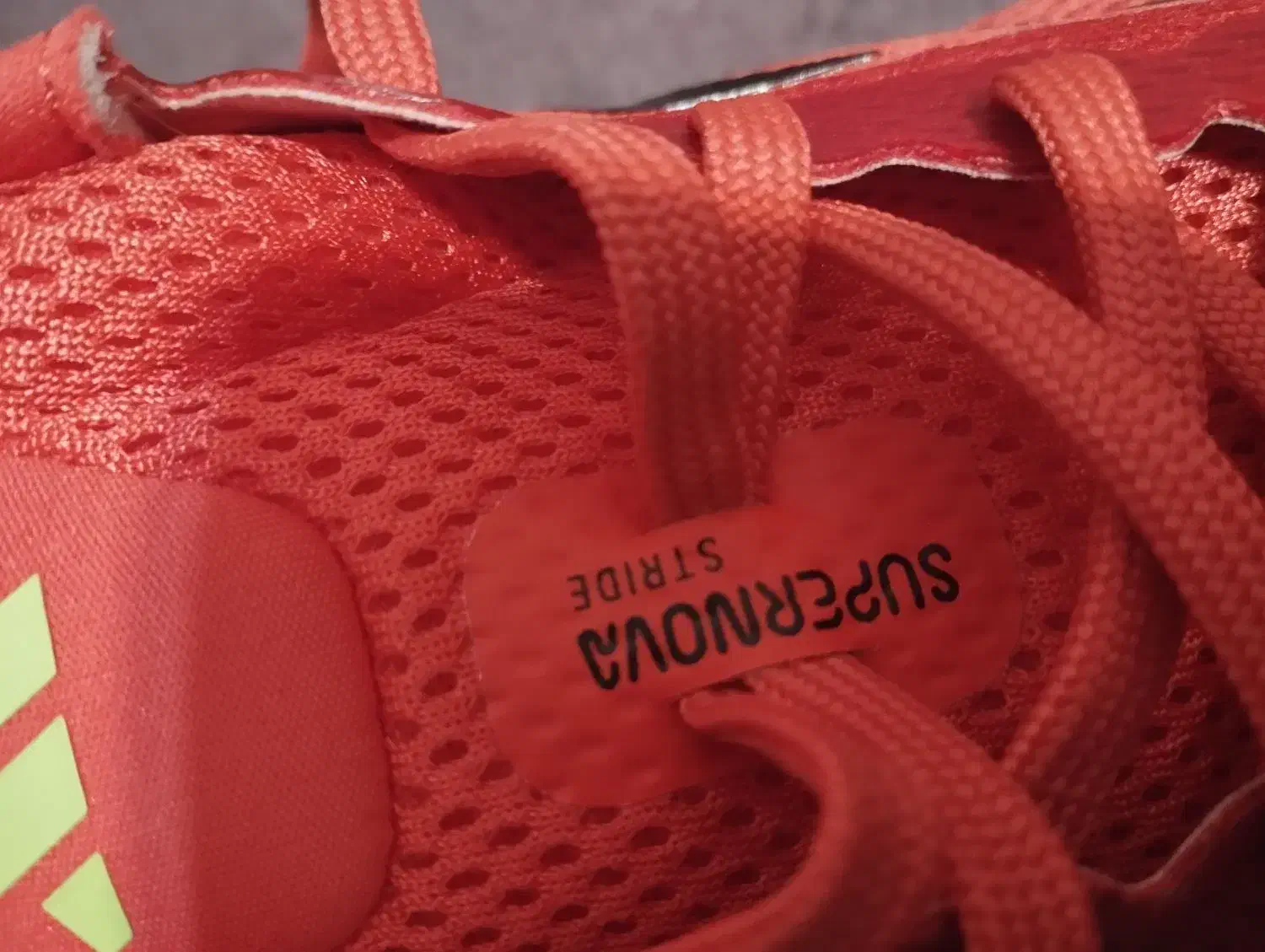 کفش|کیف، کفش، کمربند|ایلام, |دیوار