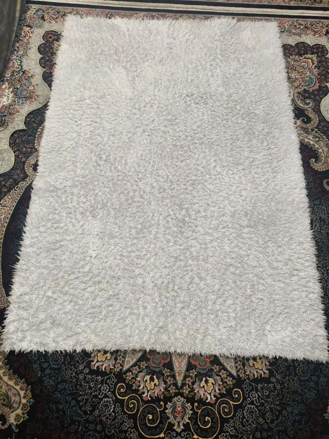 فرش|فرش|کرج, کرج نو|دیوار