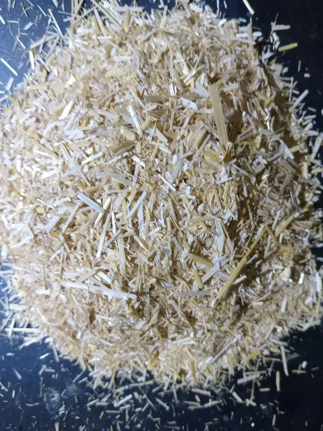 کاه گندم فروشی|عمدهفروشی|نگین شهر, |دیوار