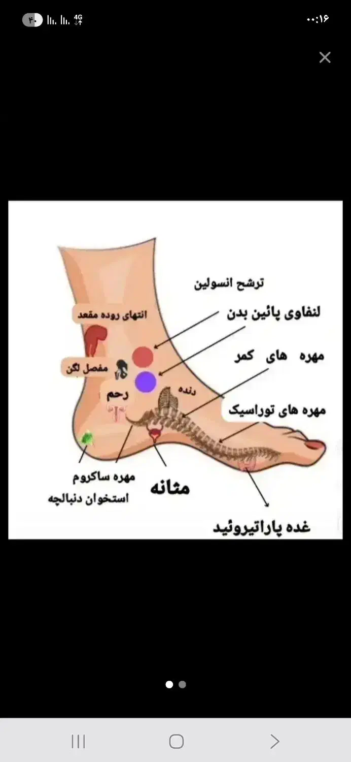 ماساژ درد کمر لگن و سیاتیک|خدمات پیشه و مهارت|کرج, گلشهر|دیوار