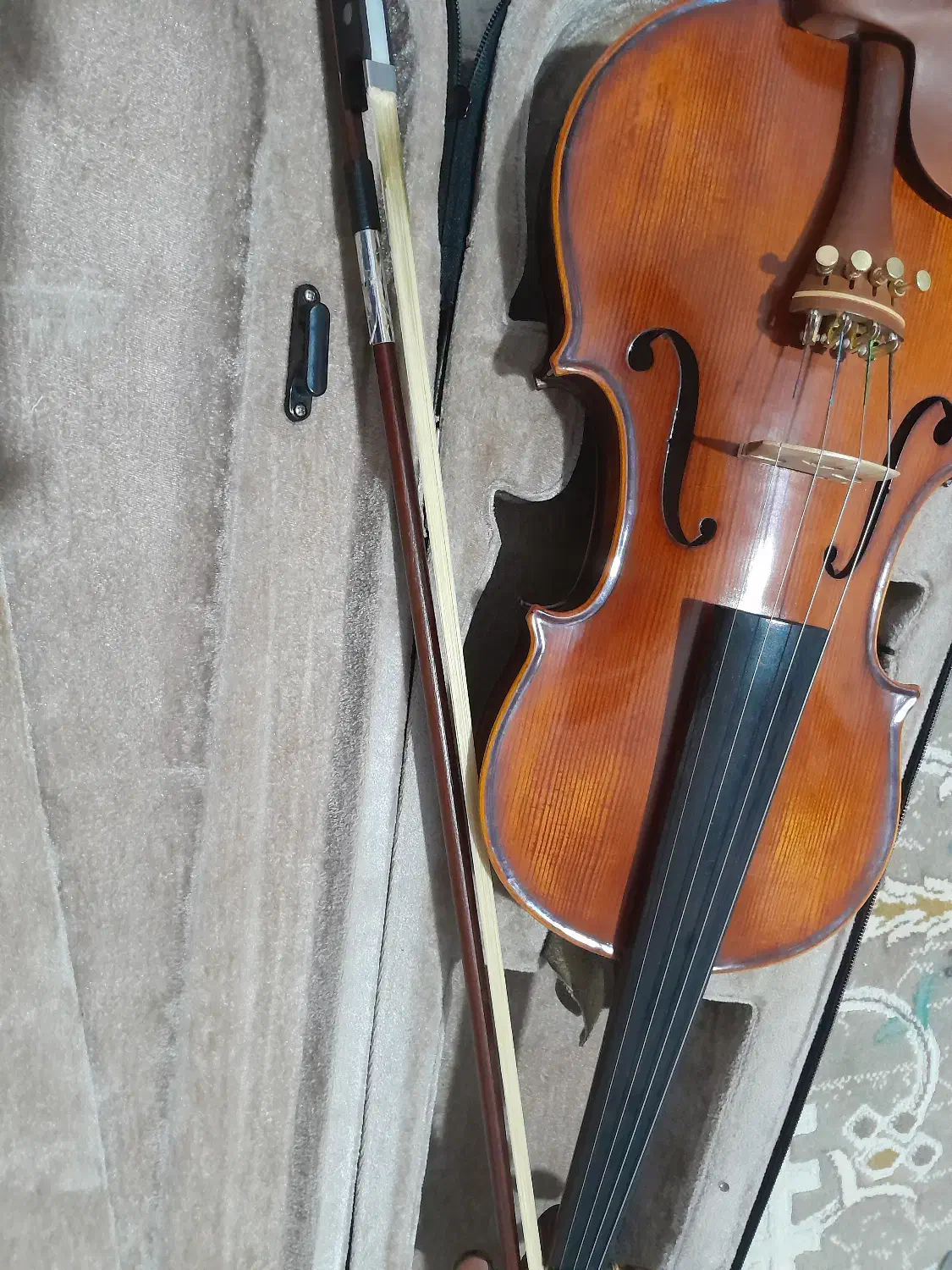 ویالون|ویولن|بجنورد, |دیوار