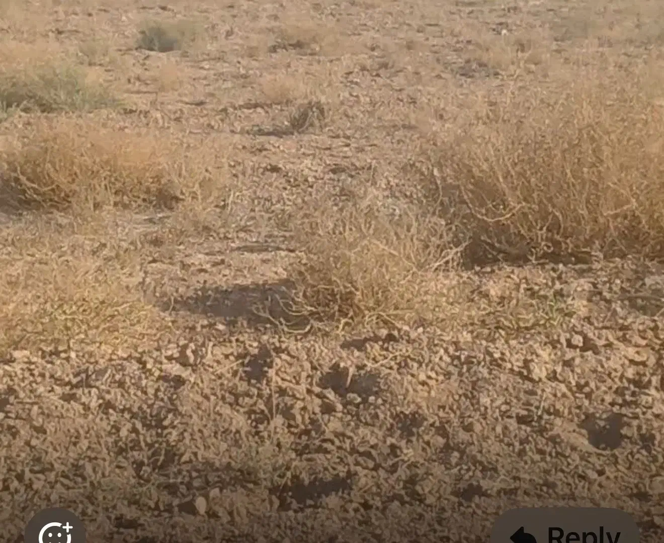 زمین ۱۰۰۰ متری باسند|فروش دفتر صنعتی، کشاورزی، تجاری|برخوار, |دیوار