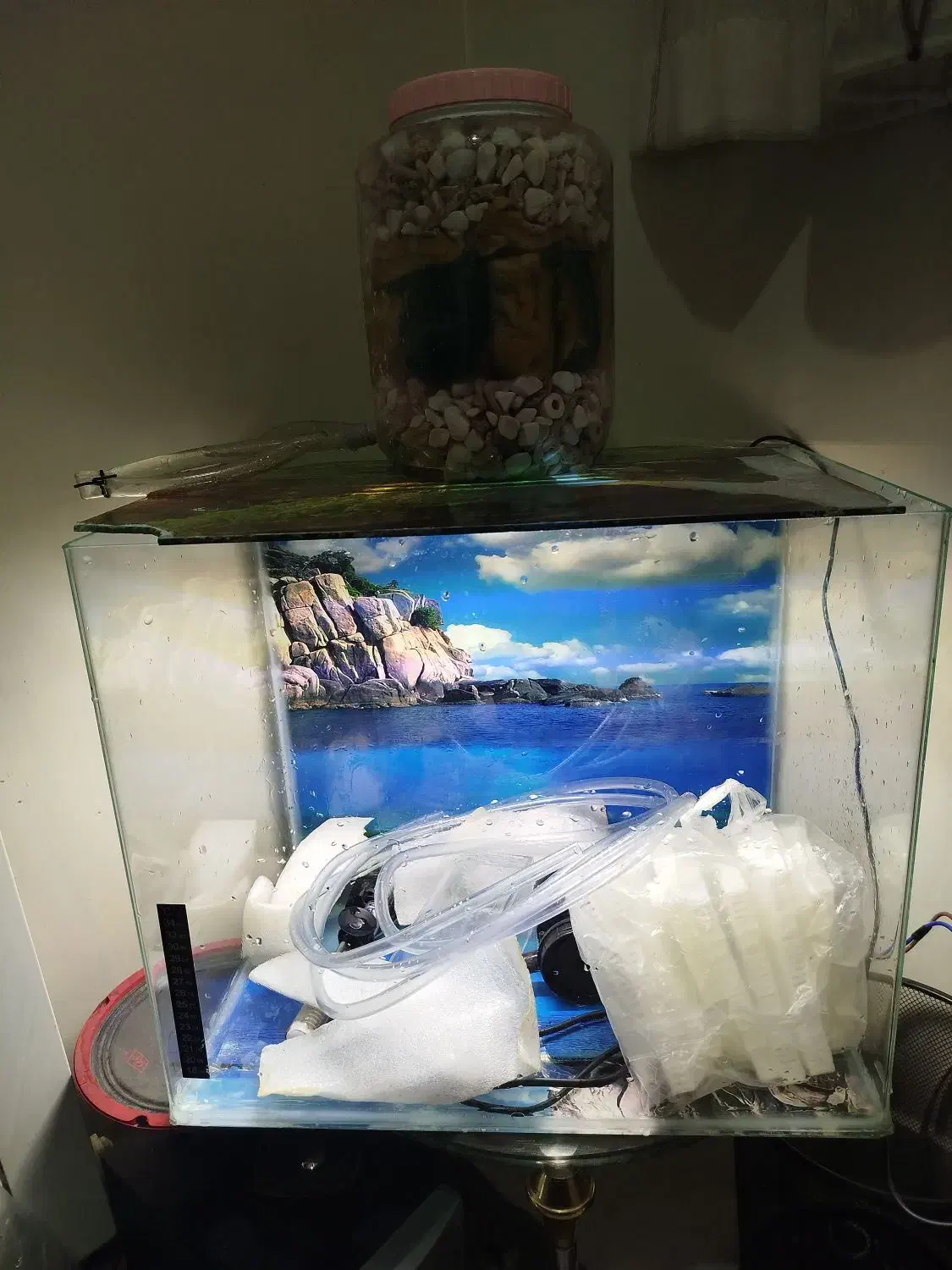 آکواریوم شیشه خم 60*40*40|ماهی|تهران, جوادیه تهرانپارس|دیوار