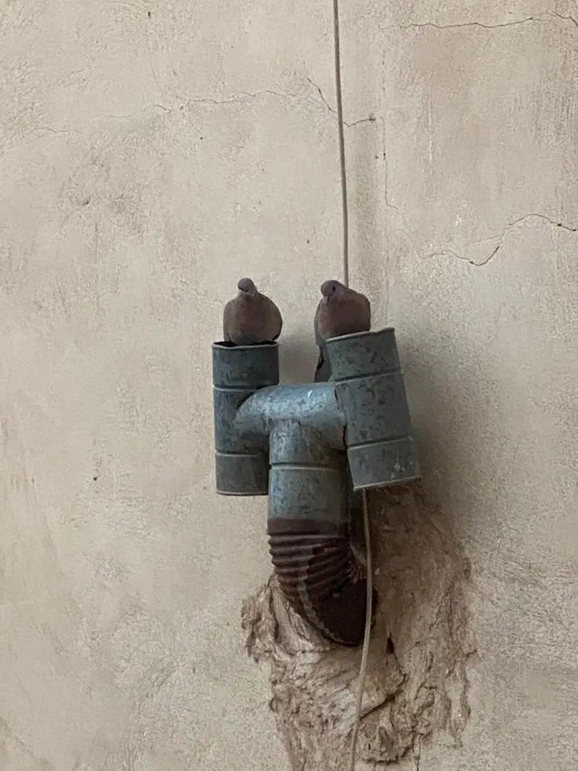 آپارتمان سند دار|فروش آپارتمان|شاهین‌شهر, شهرک گلدیس|دیوار