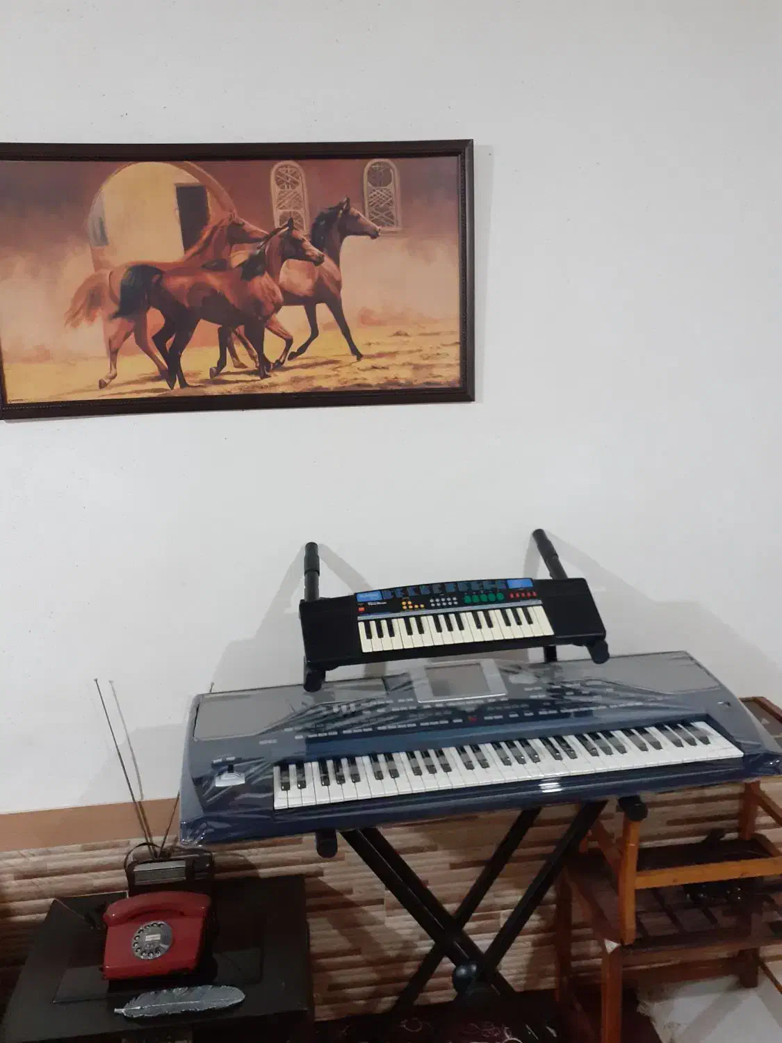 ارگ pa800 KORG ایتالیا هشصد سری۳ در حد صفر|پیانو، کیبورد، آکاردئون|ساری, |دیوار