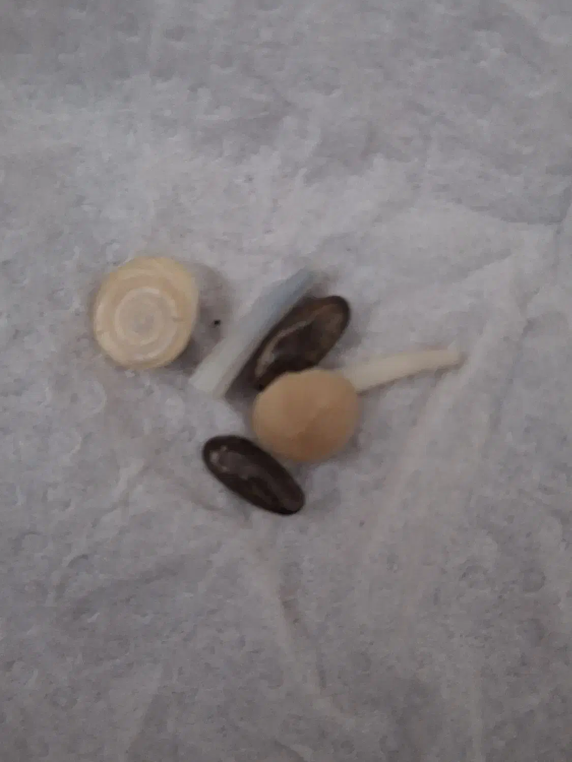 سنگ مار|جواهرات|امیدیه, |دیوار