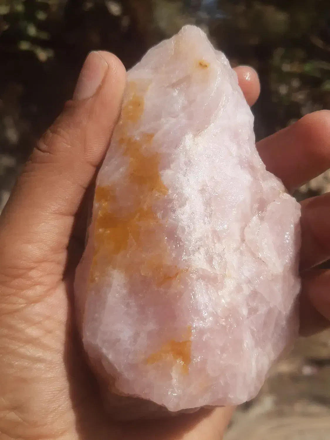 فروش یکجا کلکسیون سنگ جواهری|جواهرات|کازرون, |دیوار