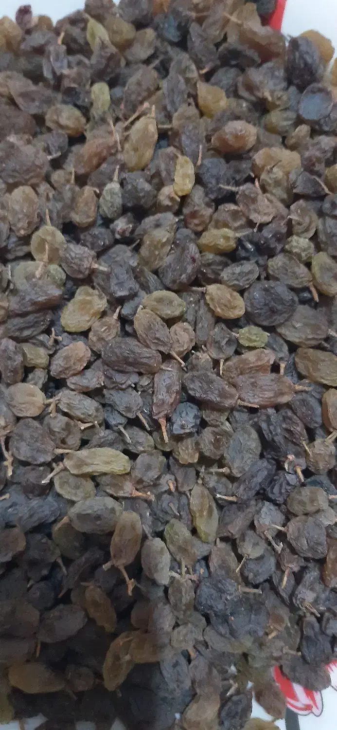 کشمش بیدانه سایه خشک (سبزه)|خوردنی و آشامیدنی|اقبالیه, |دیوار