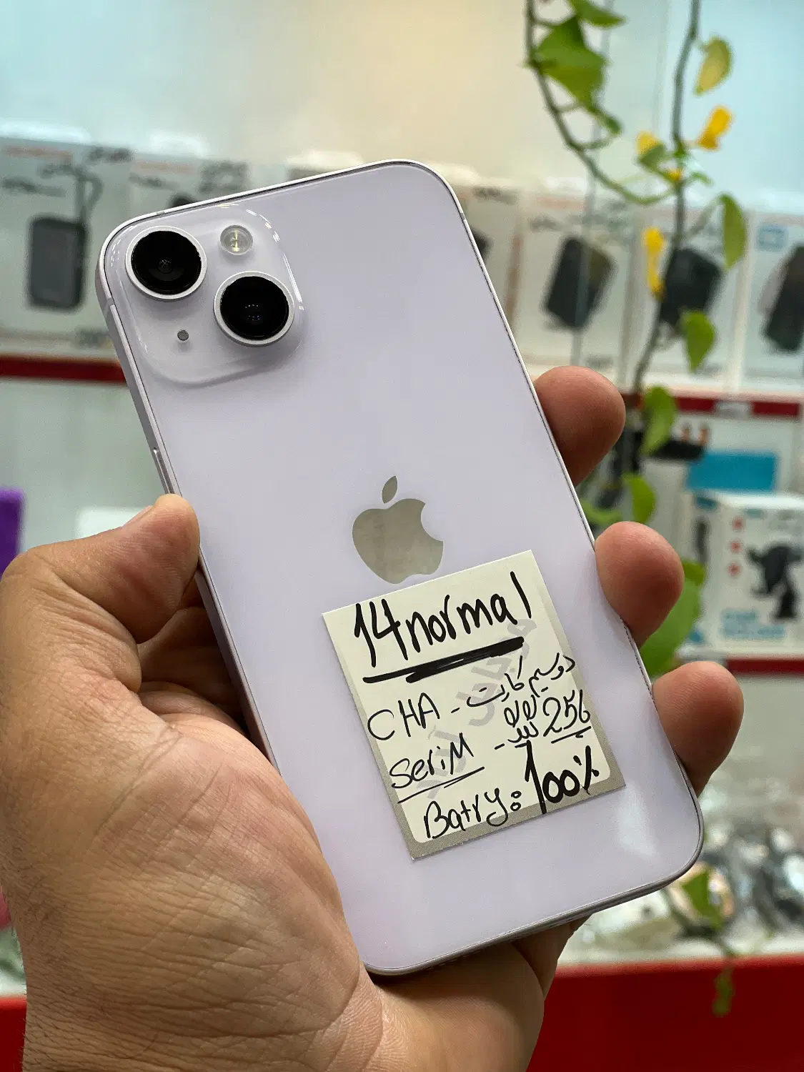 iPhone 14|موبایل|شیراز, زند|دیوار