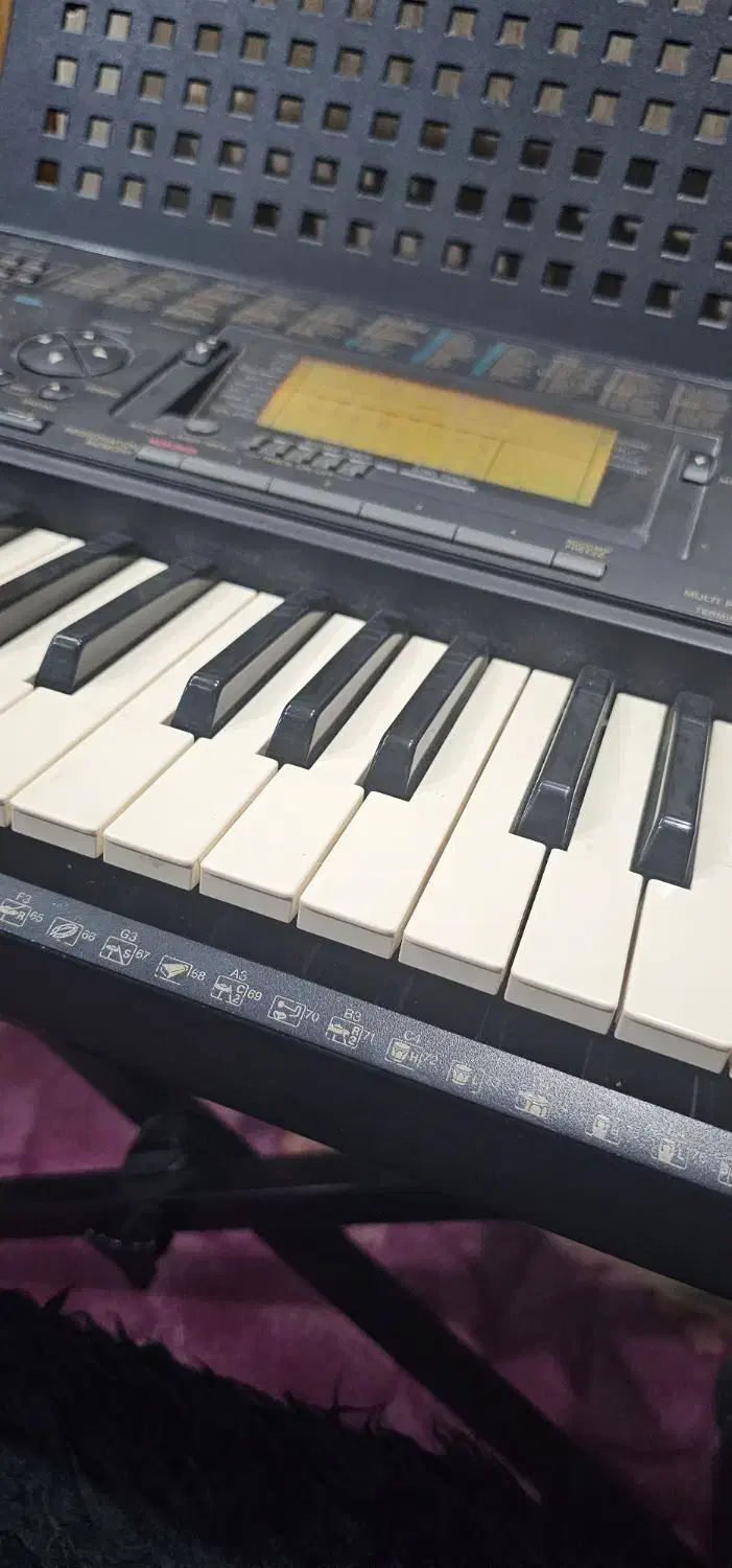 آکادمی موسیقی الیاسی|خدمات آموزشی|گتوند, |دیوار