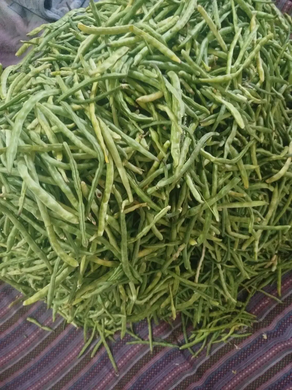 لوبیا چشم بلبلی|خوردنی و آشامیدنی|اهواز, اسلام آباد شرقی|دیوار