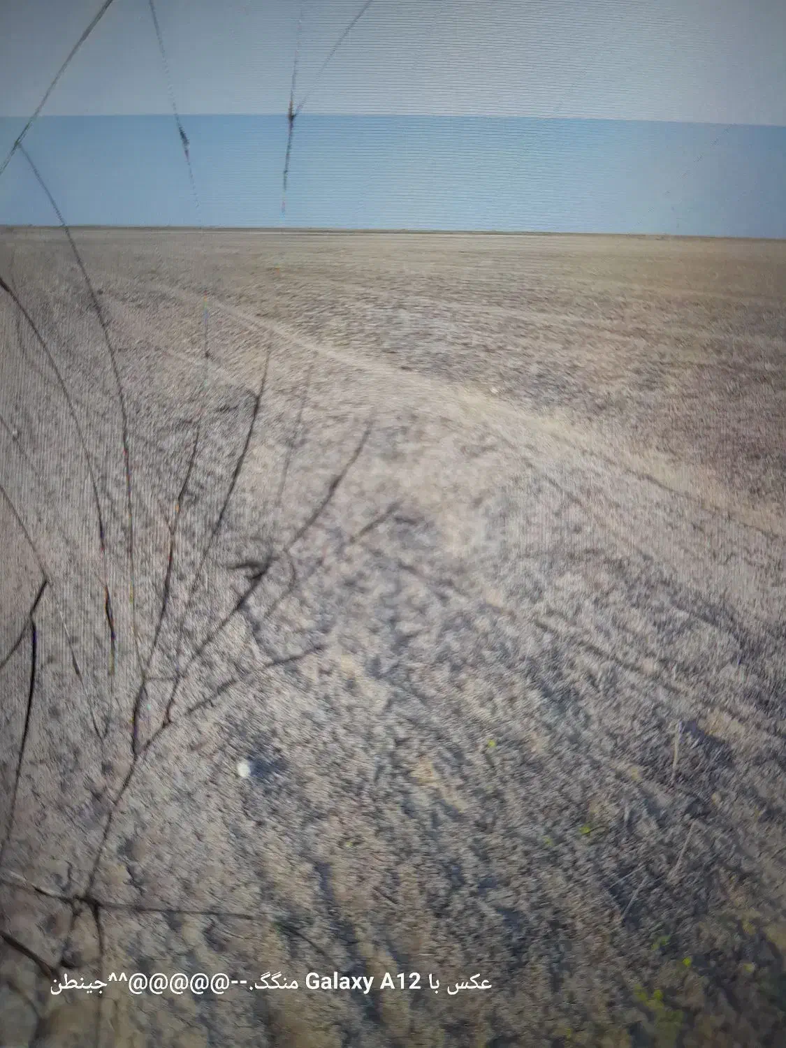 زمین اجاره ای|اجارهٔ دفتر صنعتی، کشاورزی، تجاری|سیمین شهر, |دیوار