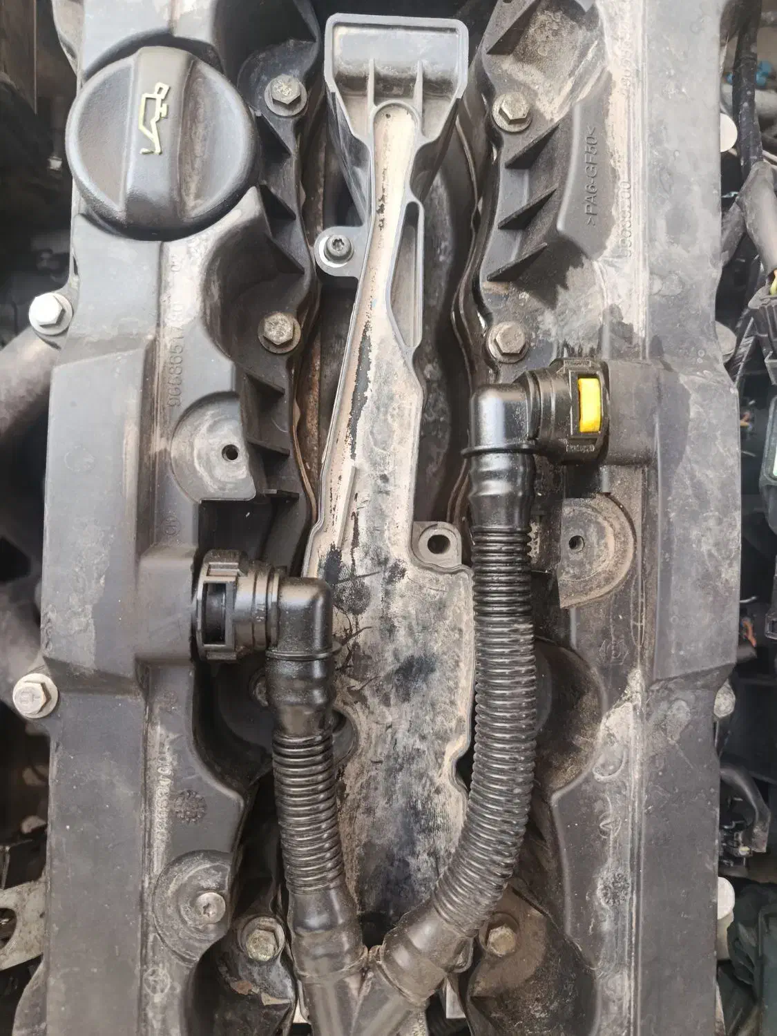 کوئل 206 تیپ 5|قطعات یدکی و لوازم جانبی|قرچک, مهدیه|دیوار