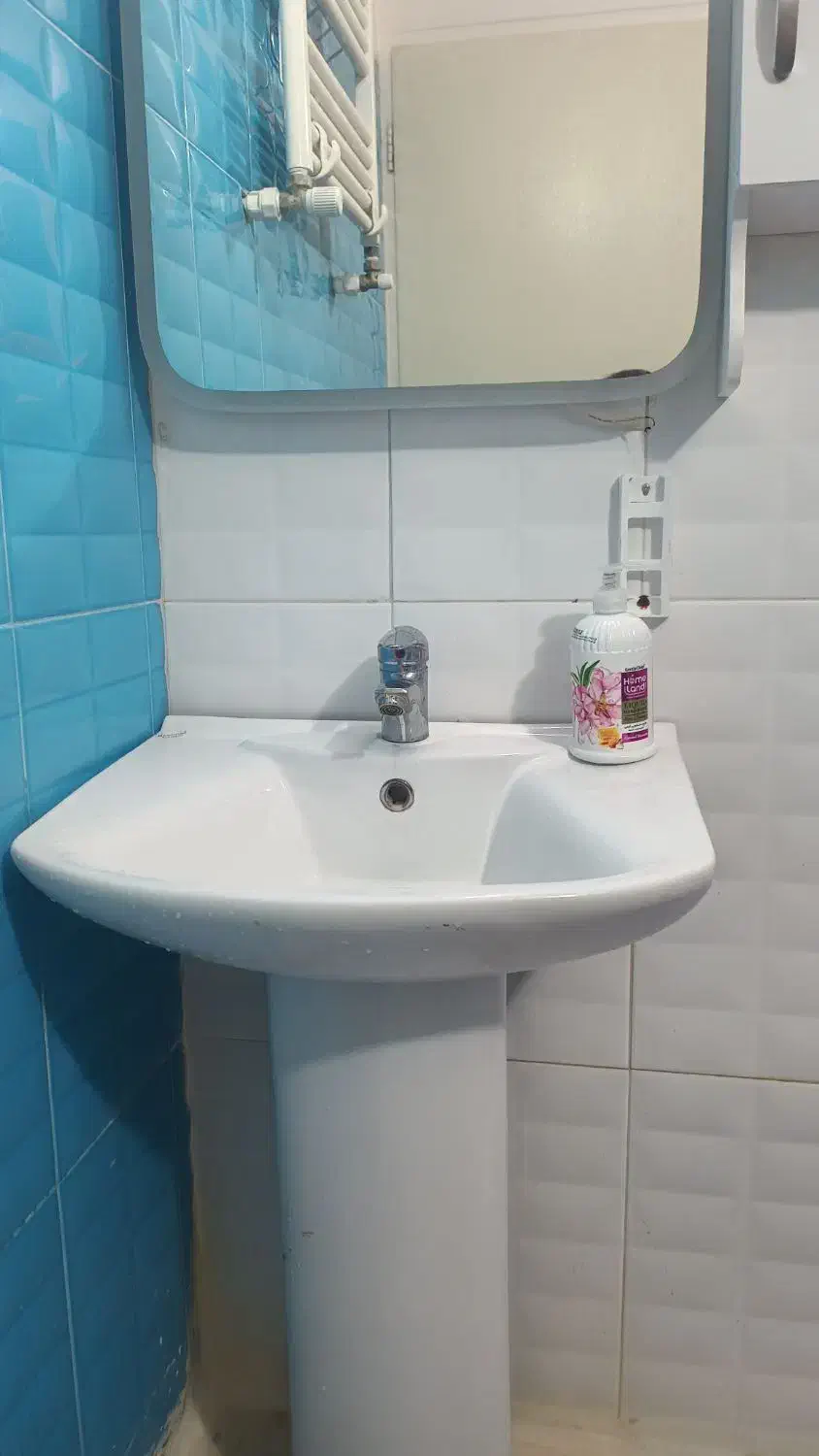 روشویی چینی با پایه|لوازم سرویس بهداشتی|مشکین‌دشت, |دیوار