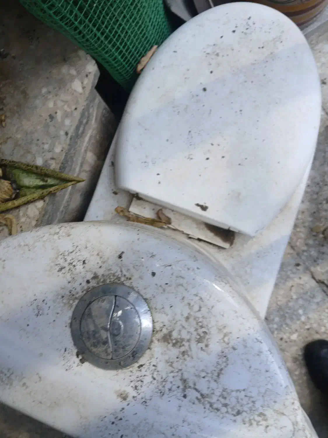 توالت فرنگی|لوازم سرویس بهداشتی|شاندیز, |دیوار